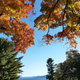 Image for article titled 48 Photos Of Autumn Around The World